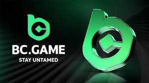 The Ultimate Guide to BC.Game Platform A Crypto Gaming Experience